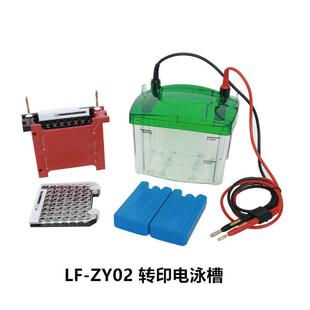 Mini4小型垂直电泳槽 ZY02小型转印电泳槽LF