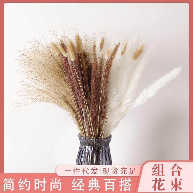 云南干花花束小芦苇花束蒲苇组合兔尾草套装北欧家居装饰现货