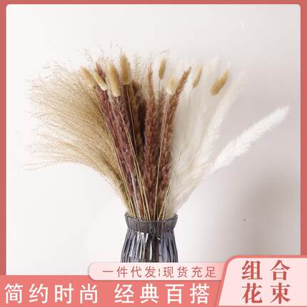 云南干花花束小芦苇花束蒲苇组合兔尾草套装北欧家居装饰现货