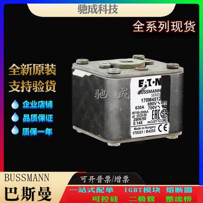 巴斯曼170M5411 170M5412 170M5413 现货供应优价供应 原装熔断器