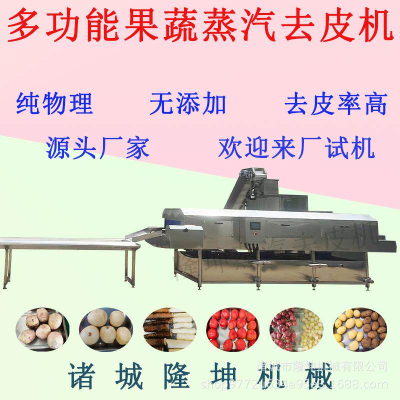 全自动芋头蒸汽去皮机土豆红薯高温烫皮机葡萄桃子纯物理削皮机