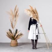 饰摆饰婚庆道具耶 干燥花水生绿植落地装 新品 大把束杂色芦苇草干