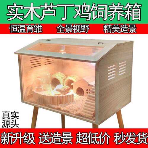 芦丁鸡饲养箱套育雏养殖木箱子仓鼠房子实木恒温造景大别墅亚马逊