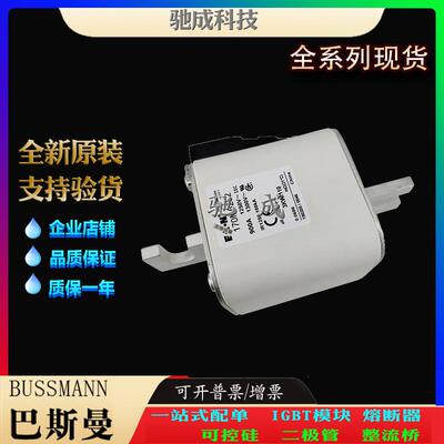 巴斯曼170M6251 170M6252 170M6253 大量现货销售 快速保险丝