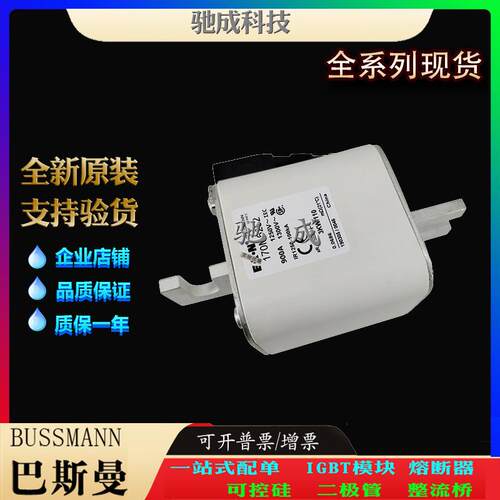 巴斯曼170M6251 170M6252 170M6253 大量现货销售 快速保险丝