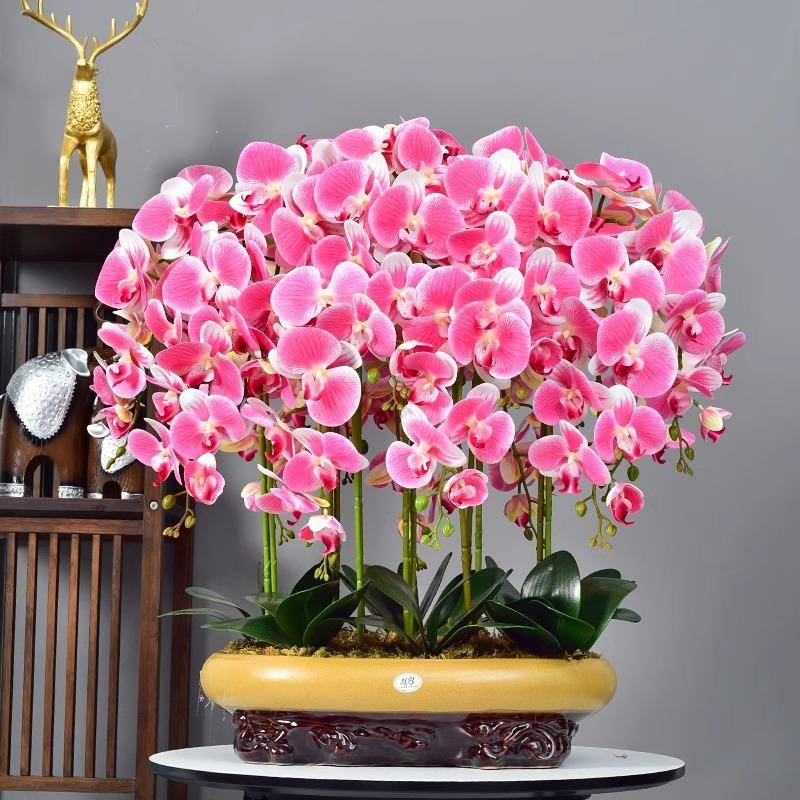 手蝶兰假花花仿真花摆设客厅室内装饰花餐感桌花摆高端ali123花艺