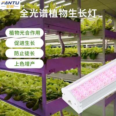 植物生长灯全光l谱ed补灯条绿仿太阳光花卉植多肉叶菜CEG育苗光灯