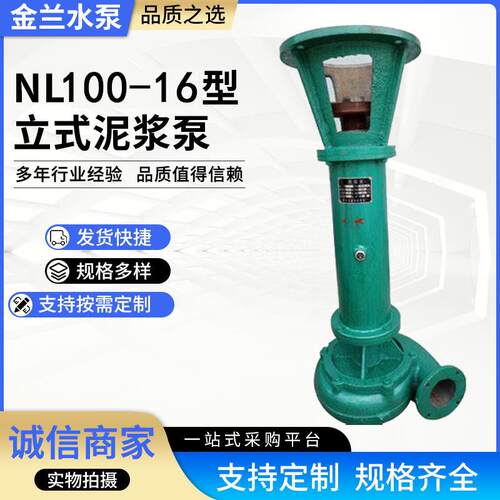 NL100-16型立式泥浆泵厂家供应加工液下铸铁水泵抽水