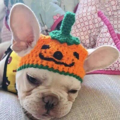 Pet Headgear Halloween Costumes Hats Halloween Party