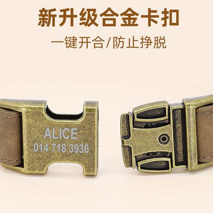 拴狗脖圈狗项圈中小型犬泰迪柯基时髦颈圈狗狗牵引绳狗牌防丢