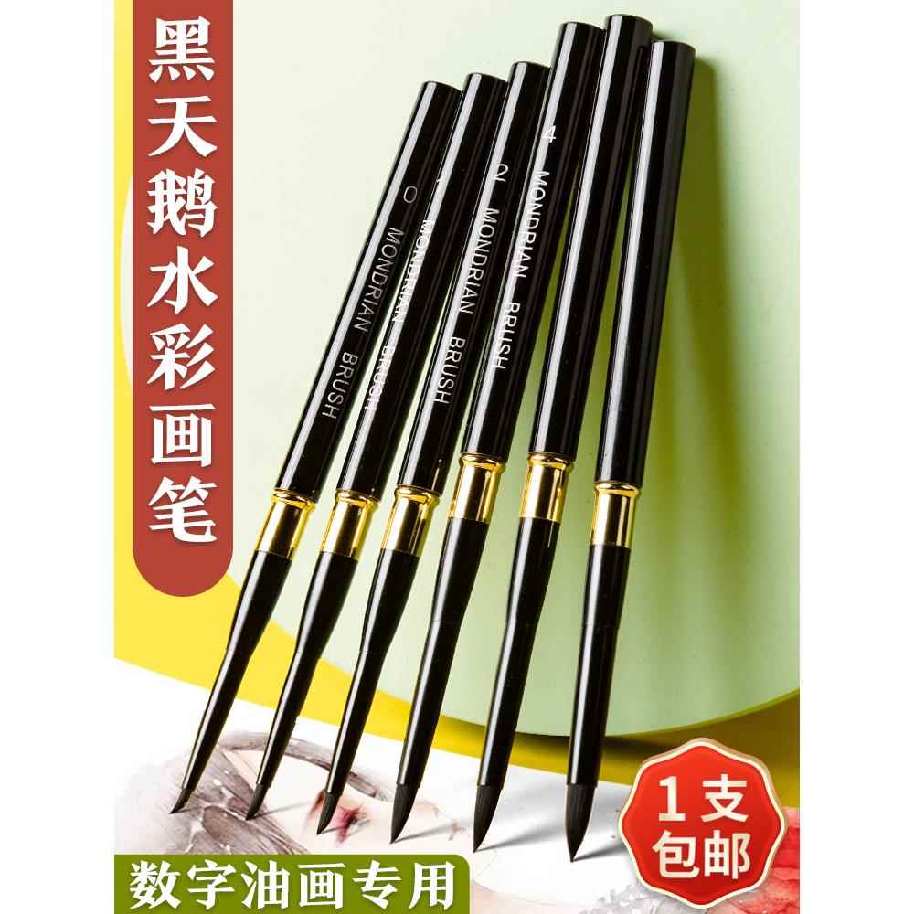 黑天鹅水彩笔不掉毛数字油画
