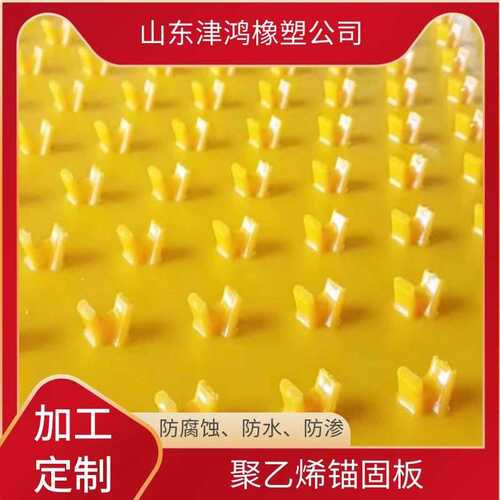耐磨损耐久一体成型工厂混凝土管道保护内衬板耐腐蚀聚乙烯锚固板