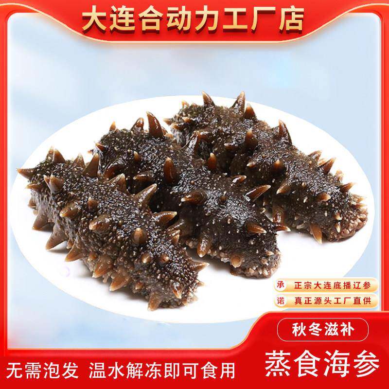 开袋即食即食海参热销装好吃营养蒸食海参 大连即食海参15-18头