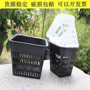 蝴蝶兰专用控根花盆铁皮石斛方形加厚塑料定植篮生根盆水培定植篮