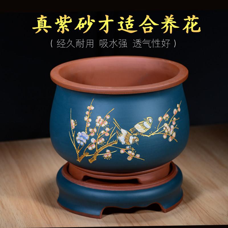 宜兴紫砂兰花盆陶瓷花盆君子兰盆老桩盆景盆多肉植物家用室内盆栽
