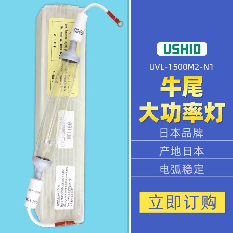 优秀UVL-1500M2-N1优秀晒版灯1500w紫外线UV固化灯 胶水固化245Mm