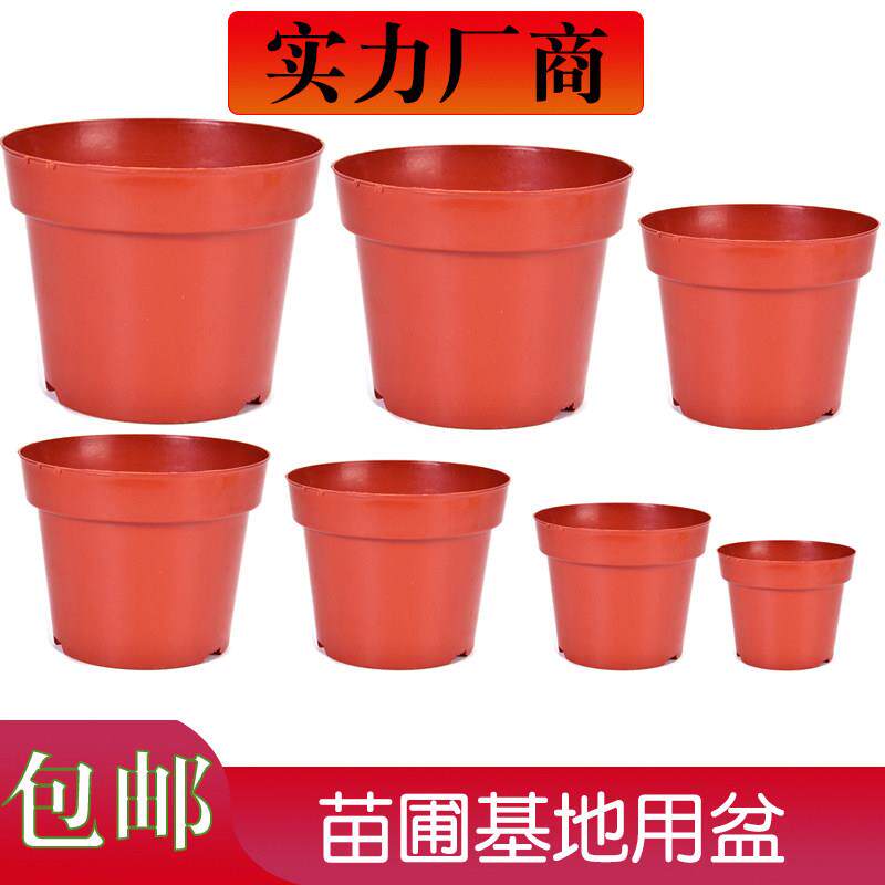 塑料胶花盆园艺花盆实用育苗盆多肉种植小圆盆栽厂家直销非一次性