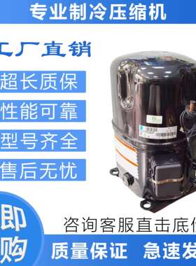 压缩机TAG2522Z/TAG4546T/TAG4561Z/TAG4568T/TAG4573Z适配泰康