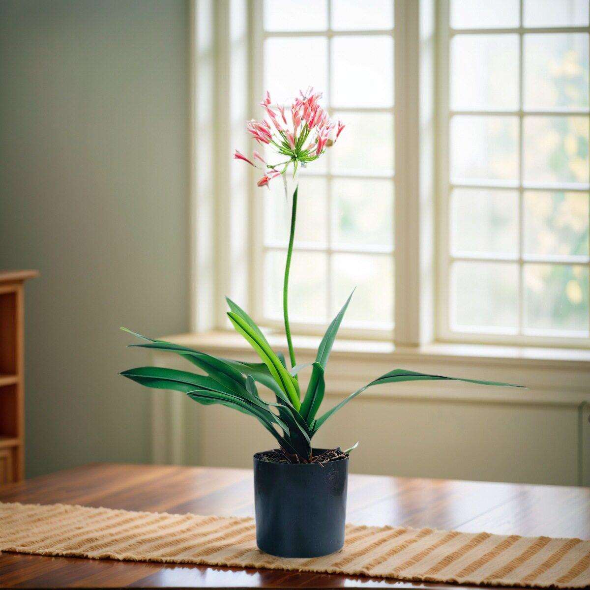 档手感蝴蝶兰花仿真插花盆栽假花卉客厅茶几餐桌面摆设装饰摆件