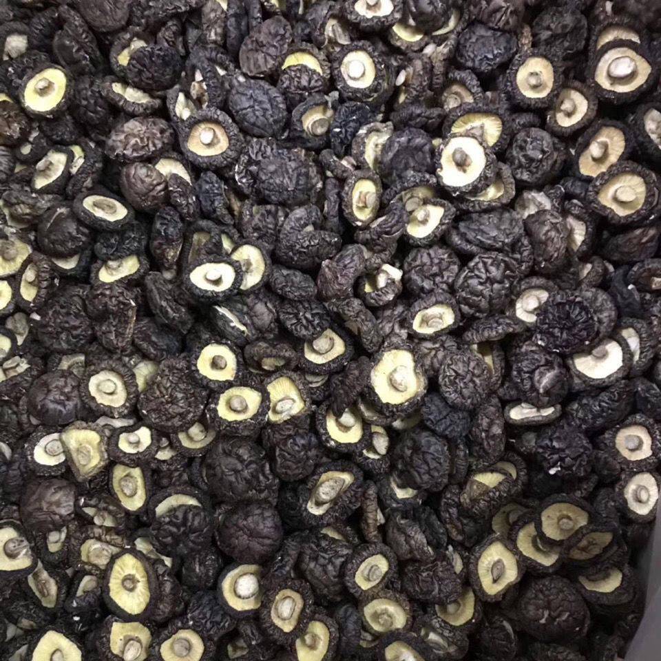 福建特产新金钱菇500g无根限量珍珠菇干货小香菇特小浓香特嫩香菇