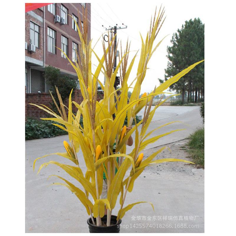 仿真玉米叶秋色玉米棒子假农作植物假树叶工程博物馆布景拍摄