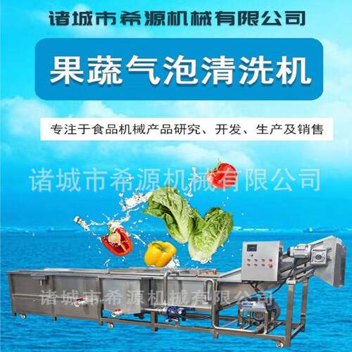 水果蔬菜清洗机连续花椒大枣清洗风干流水线土豆净菜加工设备
