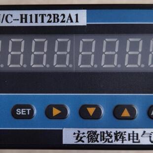 XSJ H1IT2B2A1积算仪