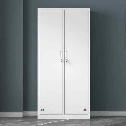 办公室二门员工更衣柜铁皮柜子2门储物柜带锁健身房3门浴室换衣柜