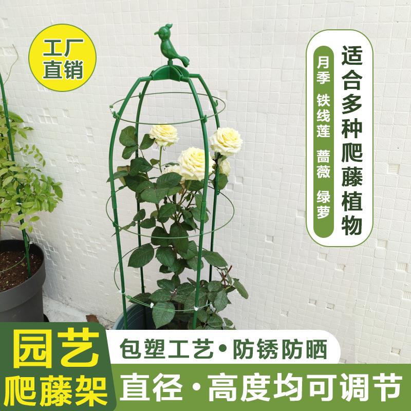 花支架月季花架铁线莲攀爬撑杆架子玫瑰植物藤架固定支撑杆藤蔓