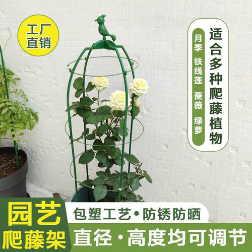 花支架月季花架铁线莲攀爬撑杆架子玫瑰植物藤架固定支撑杆藤蔓