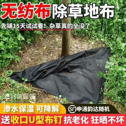 防草布除草布耐用果园果树专用新型农用保湿生态无纺布膜厂家直销