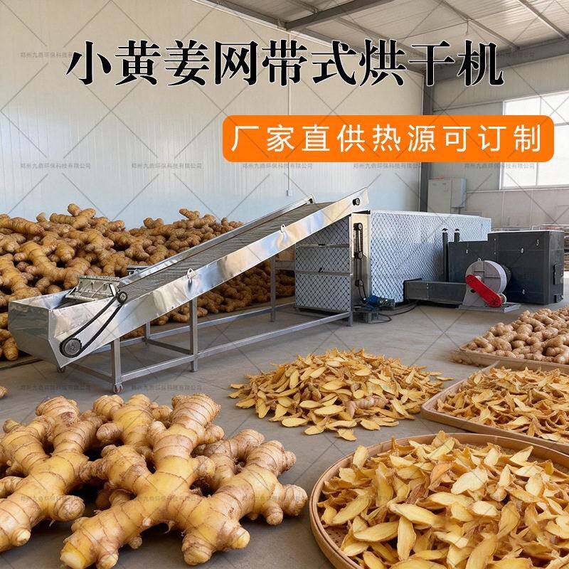 小黄姜烘干机烧煤柴网带干燥机薯干风干机红大工业网带烘干型机