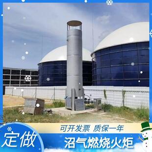 20立方50立方自动点火沼气燃烧器火炬垃圾填埋场沼气处理设备