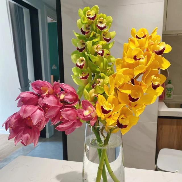 大花蕙兰惠兰鲜切花年宵花水养插瓶婚庆云南直发全国顺丰空运