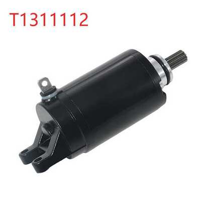 厂家直销启动电机T1311112 T1314455 T1310060 Tiger 800 Triple