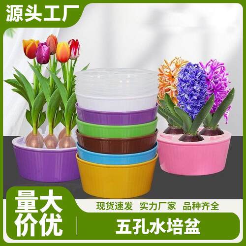 Specialized flower pots with five holes for hydroponics, sui