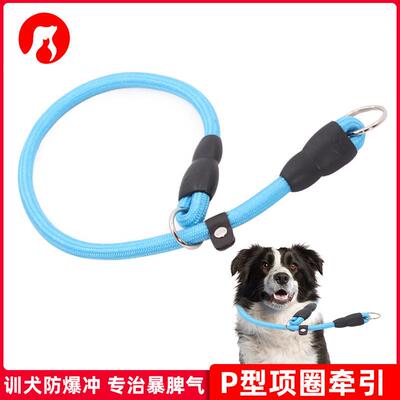 狗狗项圈P链P绳训犬牵引绳泰迪小型柯基边牧中型金毛大型犬狗链子