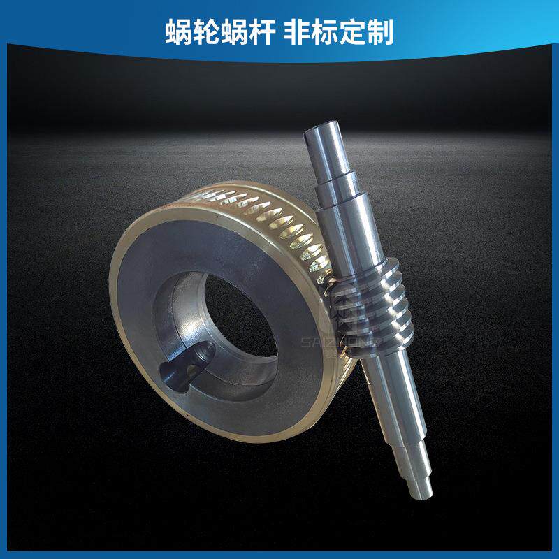 高密度蜗轮蜗杆微型非标蜗轮蜗杆配件减速机精密蜗轮蜗杆