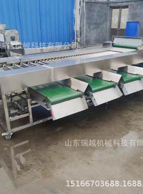 厂家商用大蒜分机不锈李子选机工业草莓钢级分AOY筛选机
