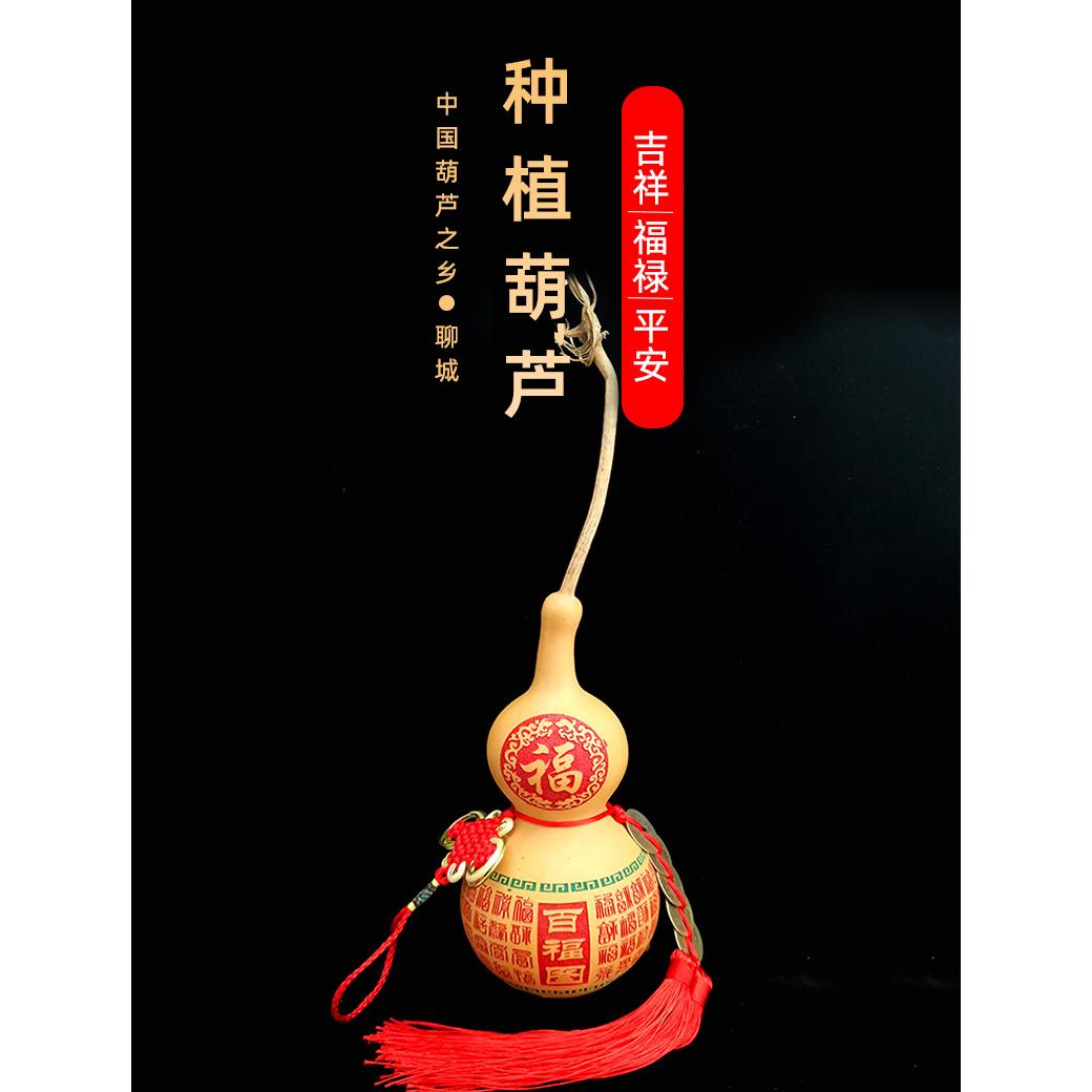天然精品带龙头葫芦挂件五帝钱大号百福百财聚财厨房厕所镇宅摆件