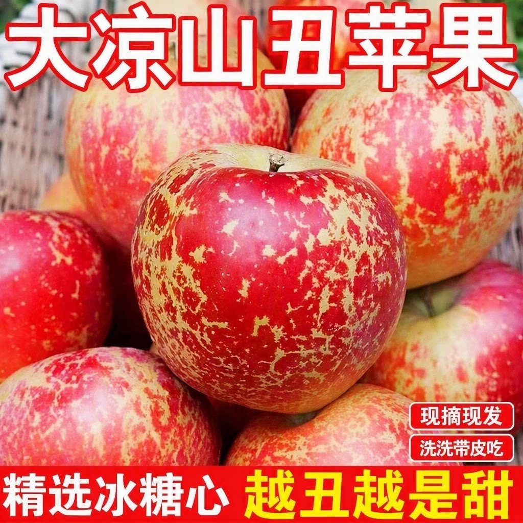 精美彩箱装大凉山丑苹果