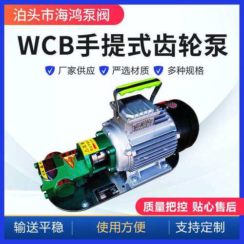 WCB手提式齿轮泵微型不锈钢手提式齿轮泵便携式输送泵WCB齿轮泵