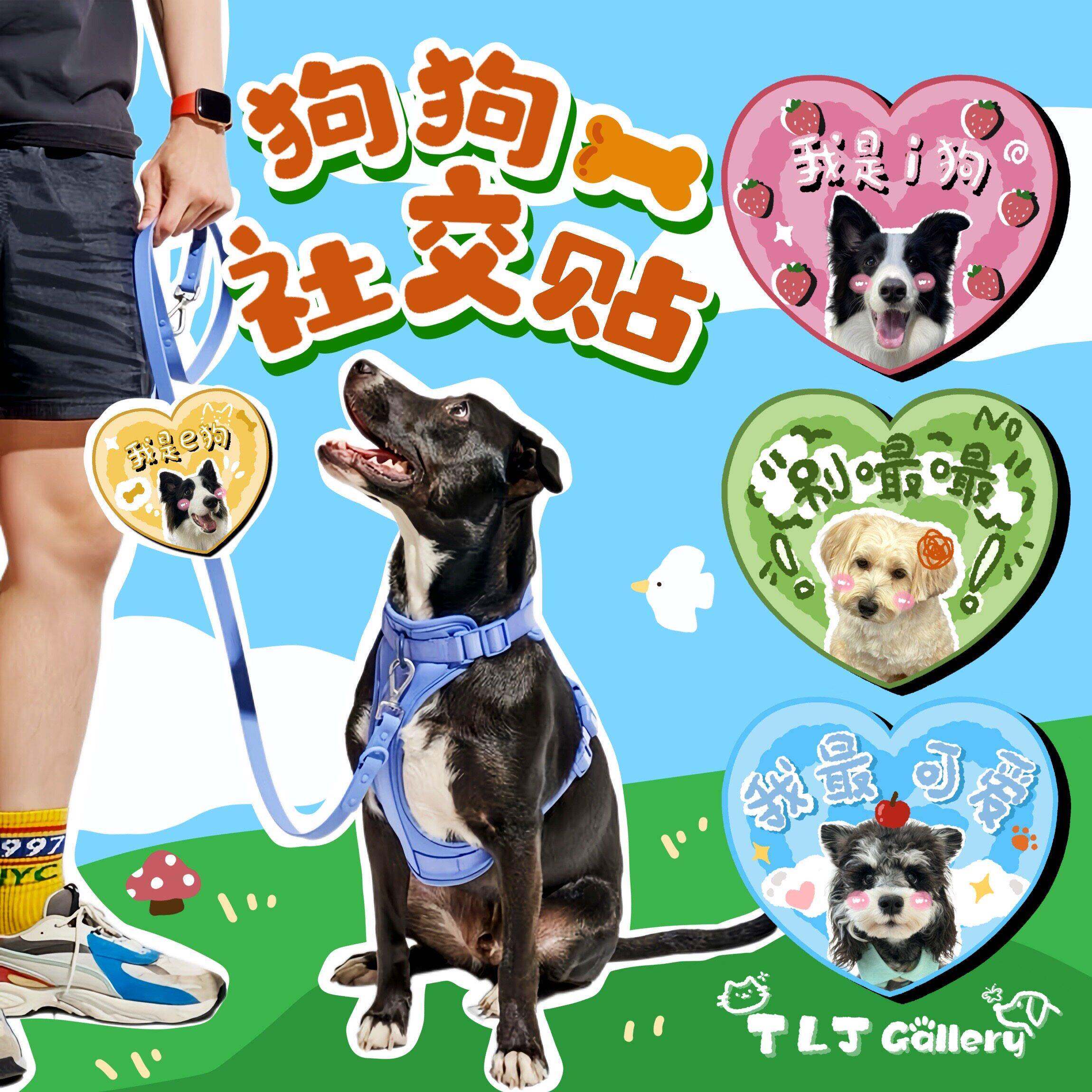 TLJ原创猫狗个性社交双面魔术贴diy牵引绳定制狗牌提示牌宠物周边