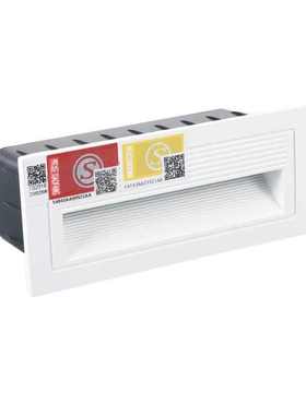 东君照明DJ-ZLJC-E3W-19A台阶灯壁装嵌入式消防应急地脚灯A型集电