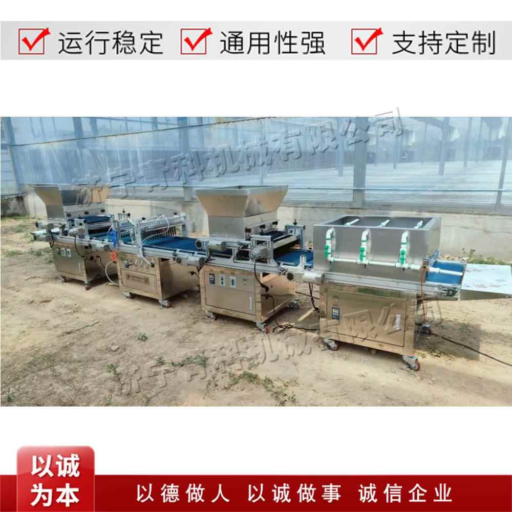 全自动农用穴盘育苗机 铺土压穴播种一体机 蔬菜秧苗种子点播机