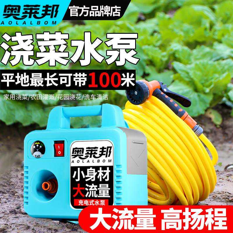 充电式抽水泵锂电池电动抽水机吸水器户外吸水抽水灌溉浇菜单电