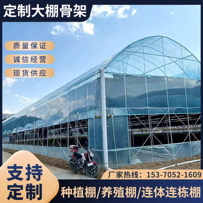 大棚钢管骨架拱棚配件定制蔬菜种植养殖椭圆管连体联动棚全套支架