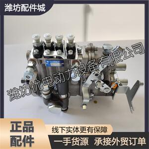 潍坊4100潍柴4102发动机ZH4105铲车喷油泵康达柴油泵汇尔高压油泵
