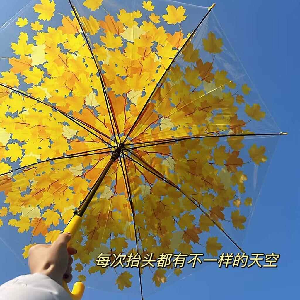 高颜值枫叶雨伞公主伞长柄直杆透明树叶雨伞大号晴雨两用小清新