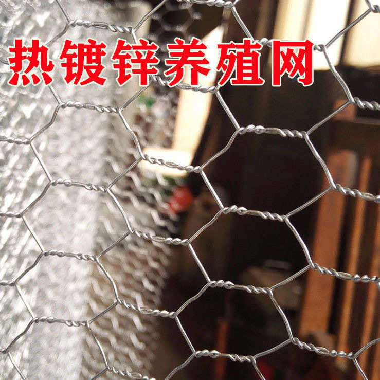 六角拧花网铁丝网婚庆装饰编织养殖隔离不锈钢吊顶造型镀锌